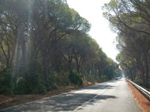 DSCN6922