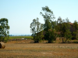DSCN6926