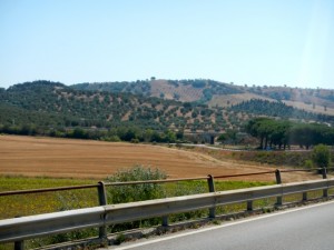 DSCN6933