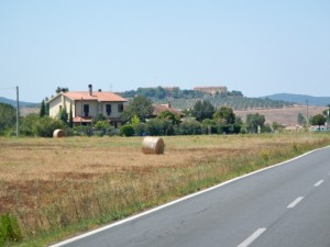DSCN6942