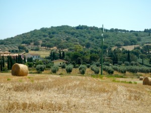 DSCN6964