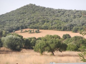 DSCN6984