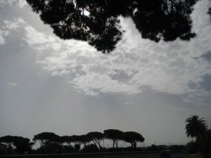 DSCN6990