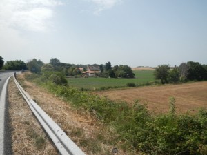 DSCN6993