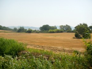 DSCN7013