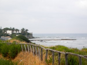 DSCN7036
