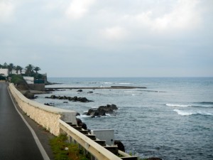 DSCN7037