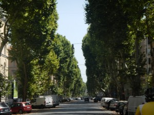 DSCN7064