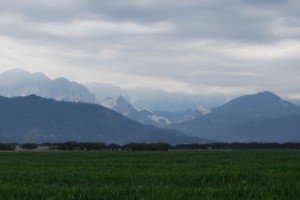DSC_8560