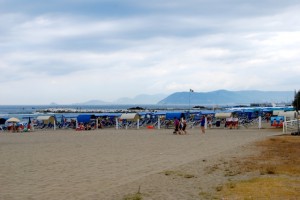 DSC_8567