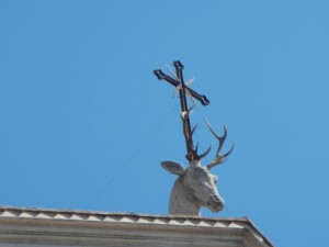 DSCN7423