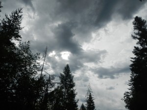 DSCN0026