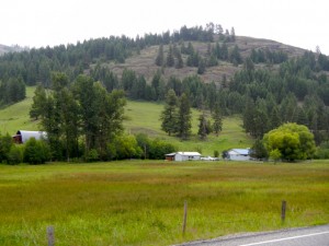 DSCN9813