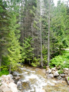 DSCN9846