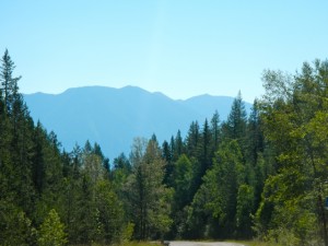 DSCN0743