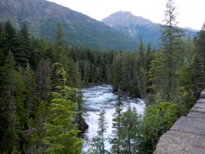 DSCN0837