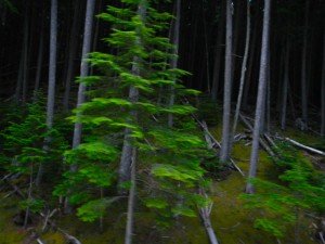 DSCN0839