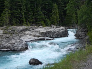 DSCN0851