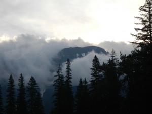 DSCN0870
