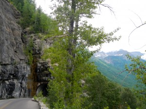 DSCN0886