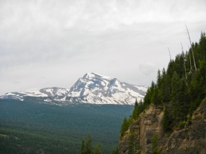 DSCN0903