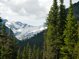 DSCN1028