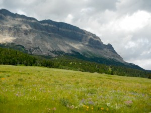 DSCN1079