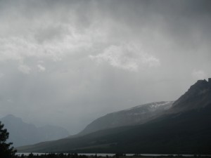 DSCN1102