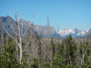 DSCN1133