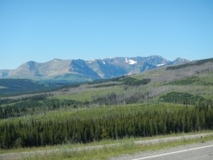 DSCN1174