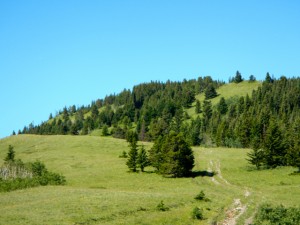 DSCN1190