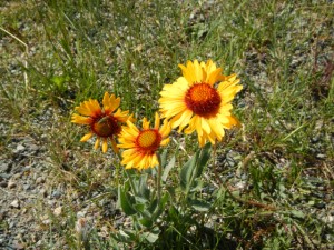 DSCN1194