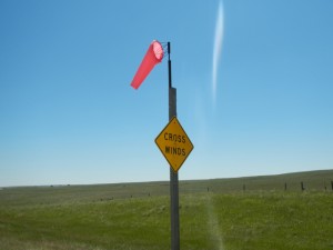 DSCN1254