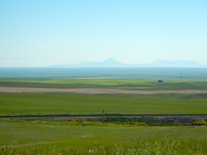 DSCN1309