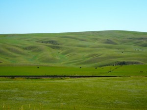 DSCN1310
