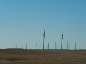 DSCN1312