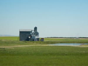 DSCN1313