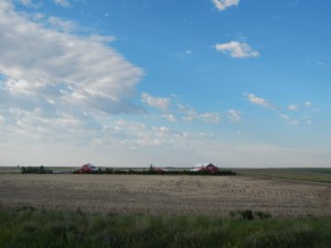 DSCN1344
