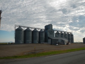 DSCN1354