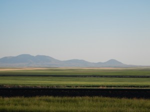 DSCN1404