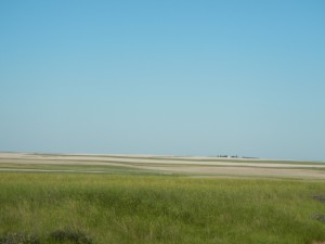 DSCN1423