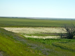 DSCN1438