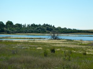 DSCN1445