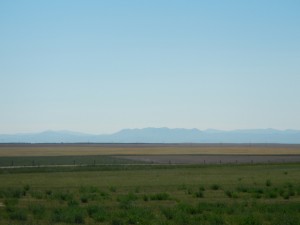 DSCN1462