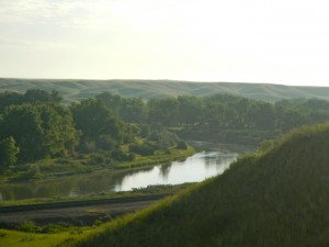 DSCN1514
