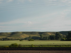 DSCN1520