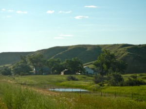 DSCN1538