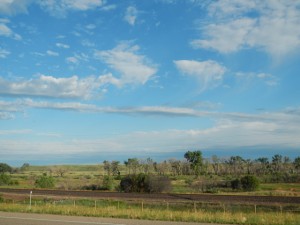 DSCN1539