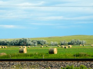 DSCN1579