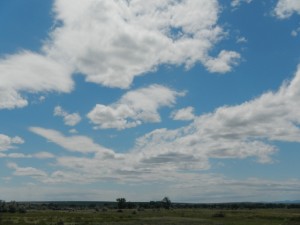 DSCN1651